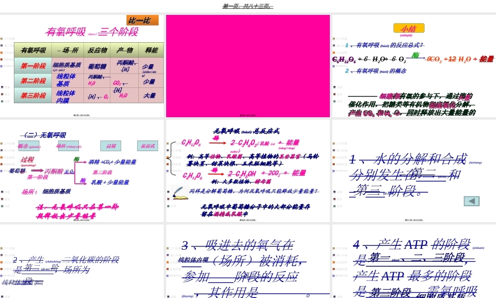 2022年医学专题—细胞呼吸适合一轮复习自己做的公开课.ppt