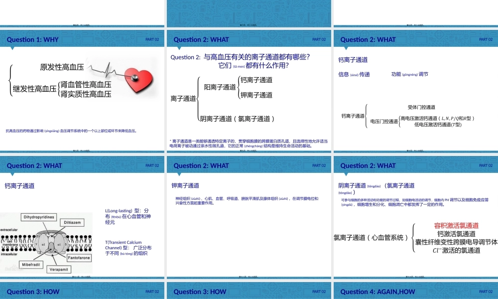 2022年医学专题—细胞通道与高血压.pptx