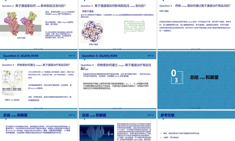 2022年医学专题—细胞通道与高血压.pptx