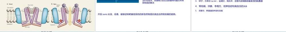 2022年医学专题—细胞通道与高血压.pptx