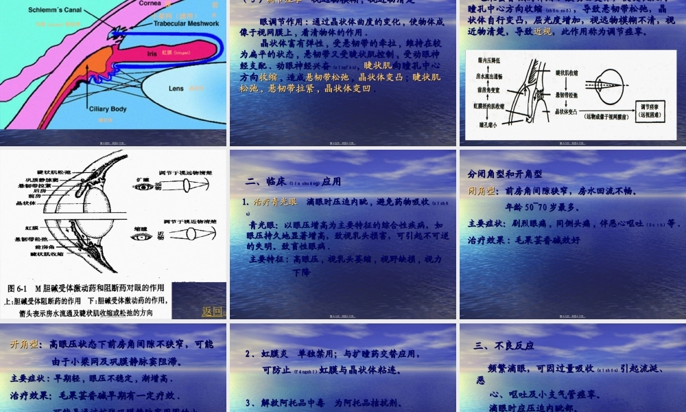 2022年医学专题—胆碱受体激动药.ppt