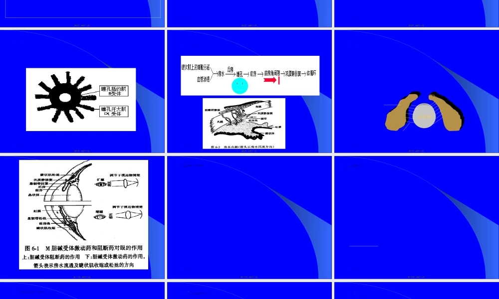 2022年医学专题—胆碱受体阻断药I—M胆碱受体阻断药.ppt