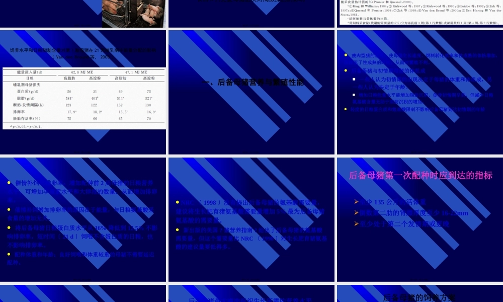 【2019-2020年整理】母猪营养.pptx