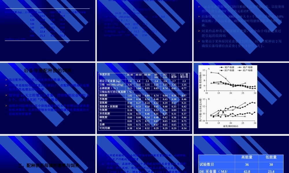 【2019-2020年整理】母猪营养.pptx