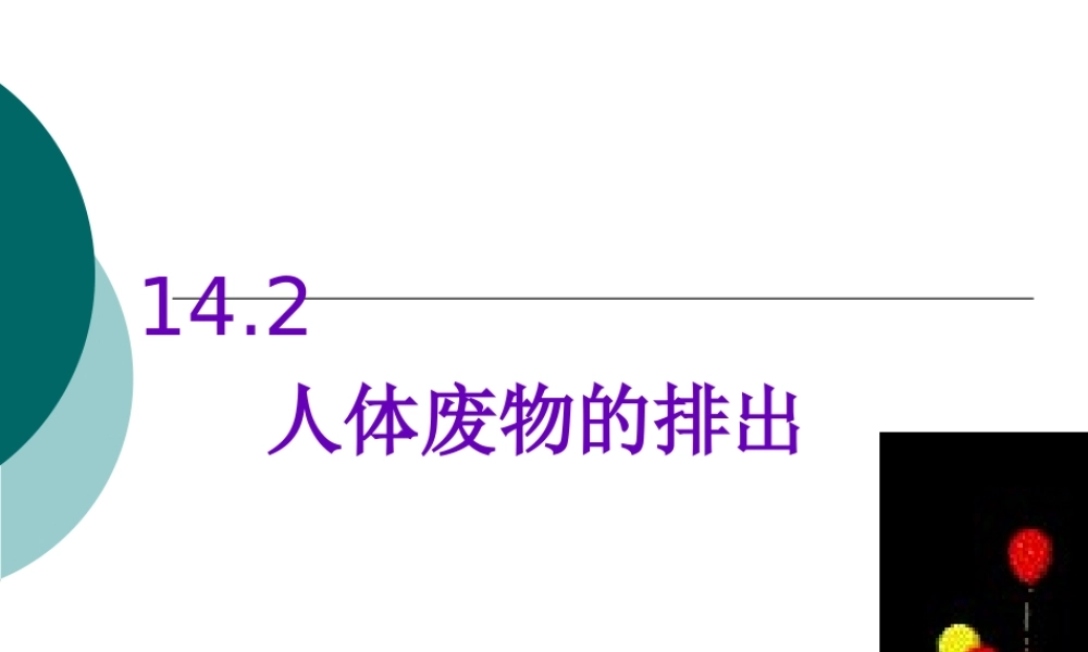 人体废物的排出.pptx