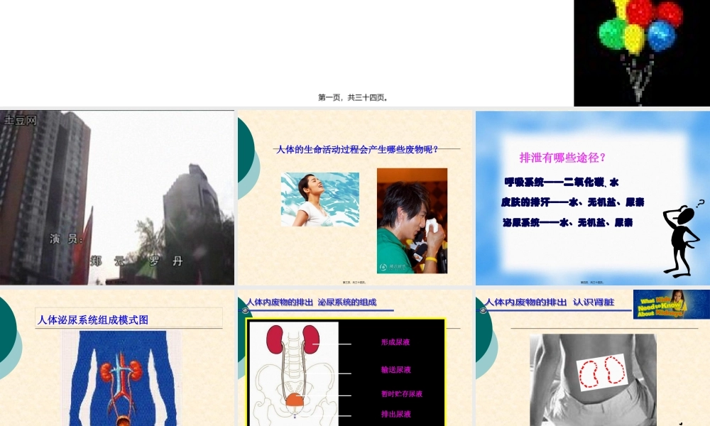 人体废物的排出.pptx