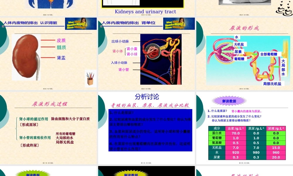 人体废物的排出.pptx