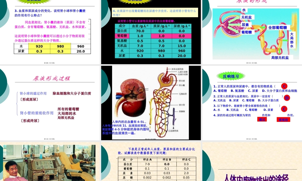 人体废物的排出.pptx