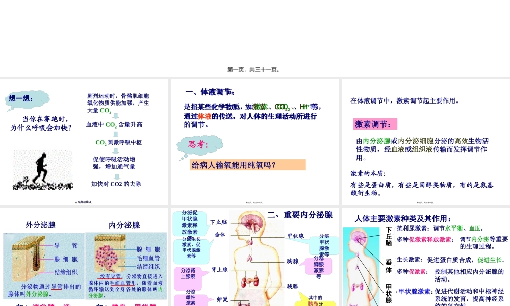 人体的激素调节ppt.pptx