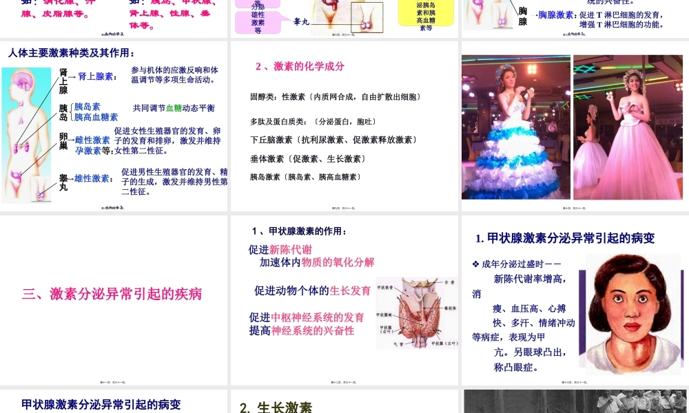 人体的激素调节ppt.pptx