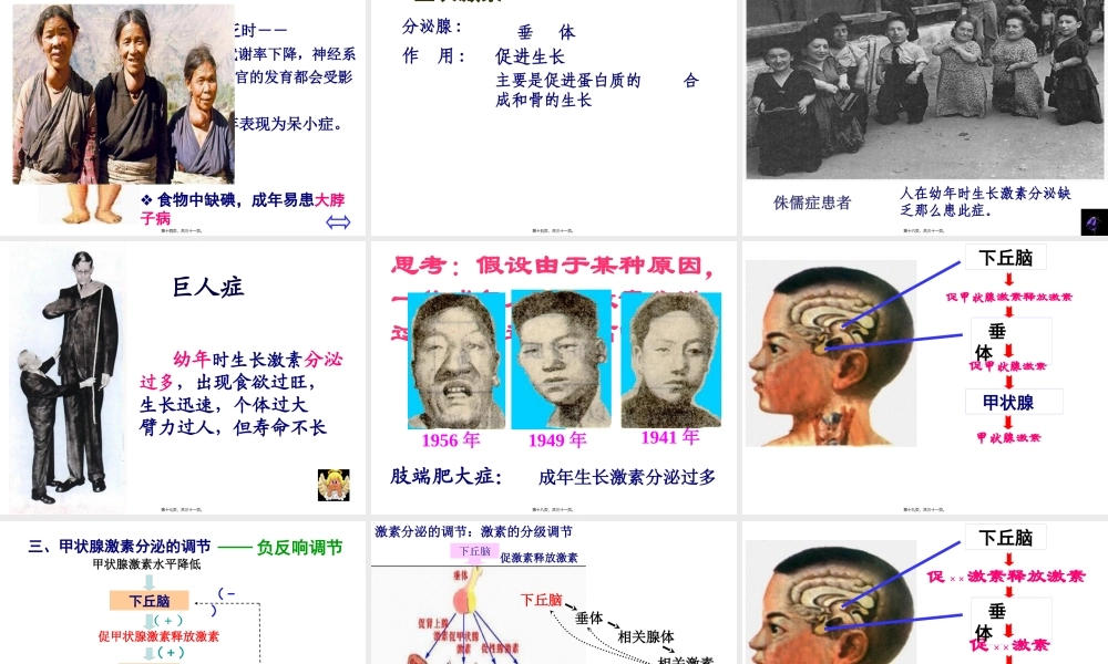 人体的激素调节ppt.pptx