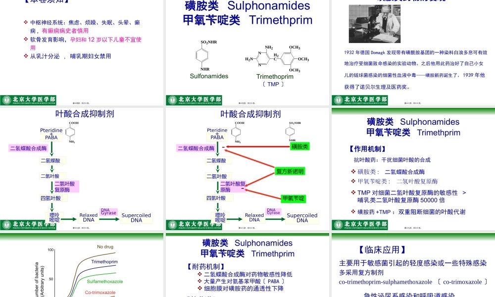 人工合成抗菌药-北医.pptx