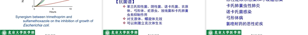 人工合成抗菌药-北医.pptx