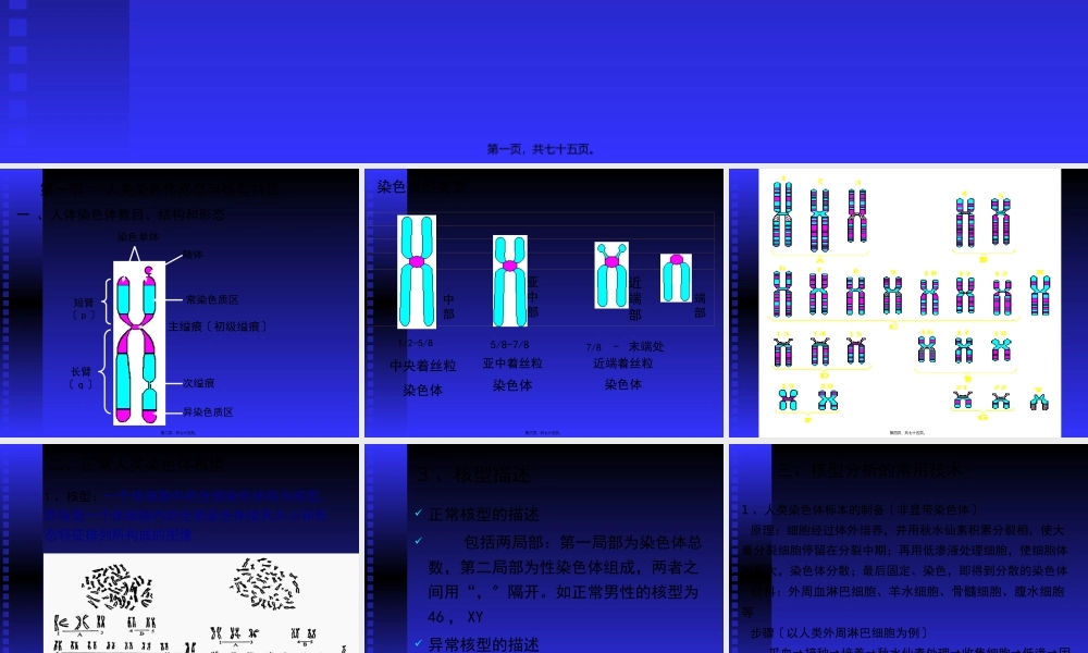 人染色体与染色体病.pptx