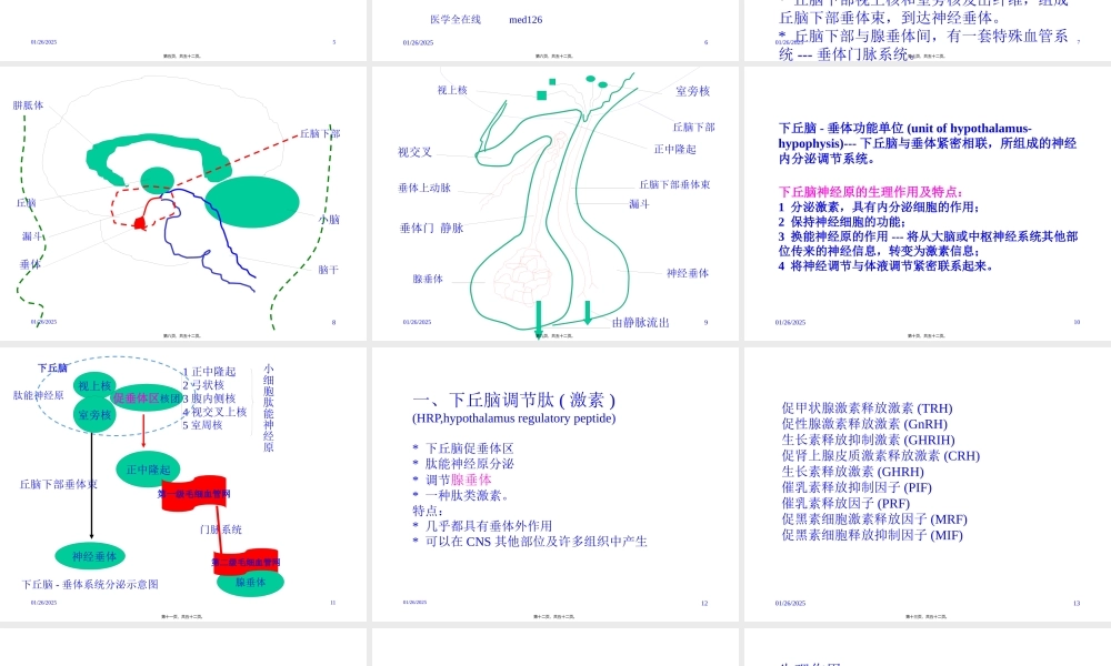 内分泌2-下丘脑和垂体的内分泌.pptx