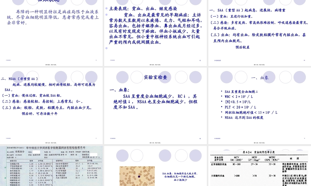 再生障碍性贫血(教学).pptx