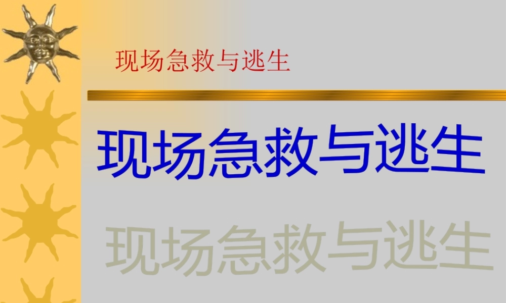 冶金急救和逃生.pptx