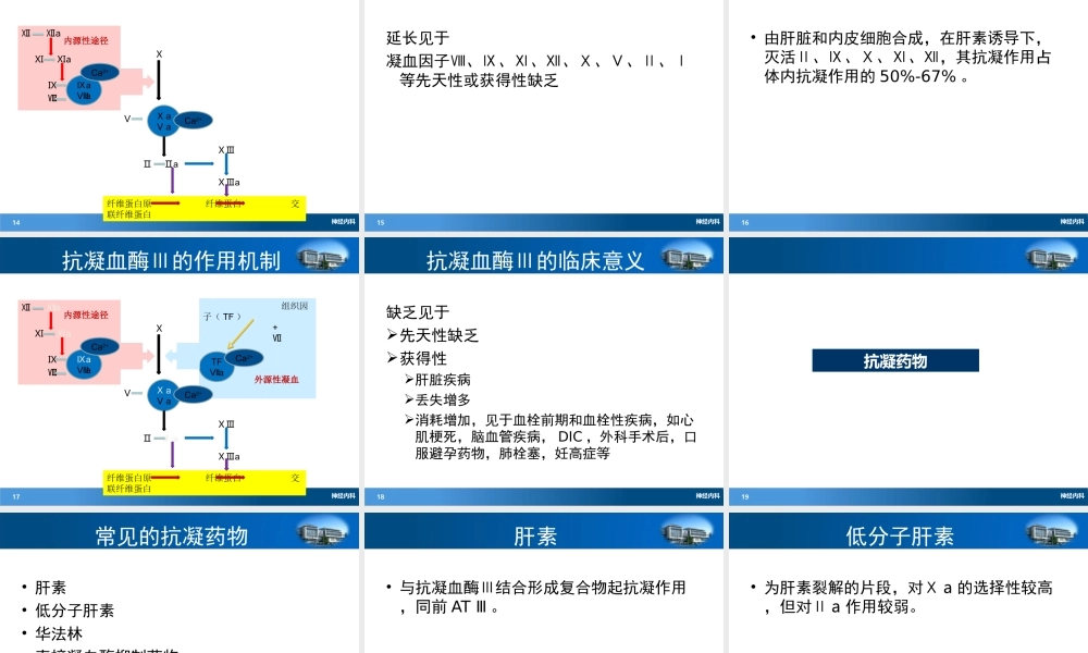 凝血与脑卒中.ppt