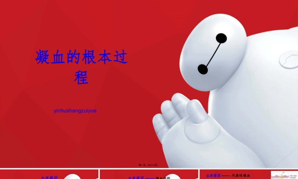 凝血类型与凝血途径.pptx