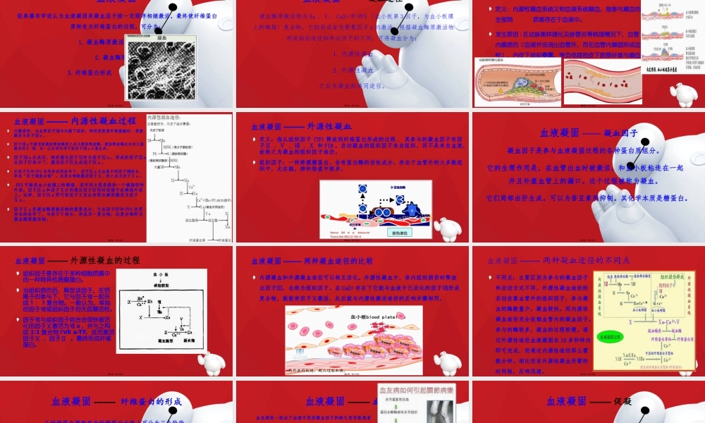 凝血类型与凝血途径.pptx