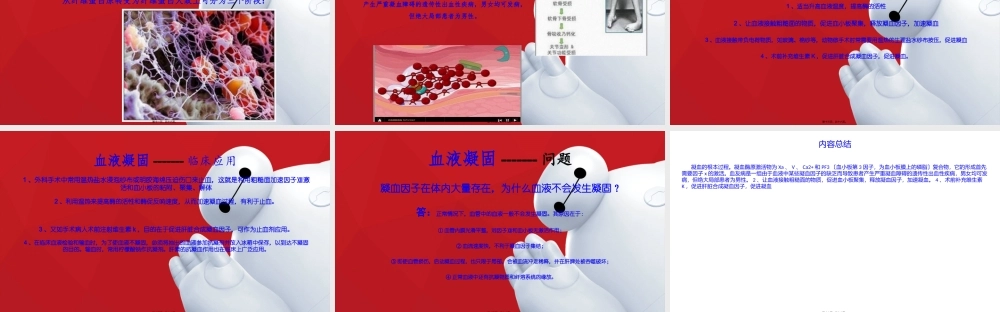 凝血类型与凝血途径.pptx