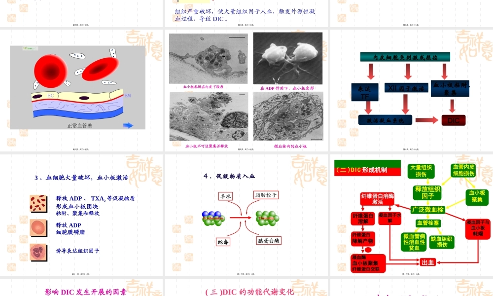 凝血因子和血小板被激活.pptx