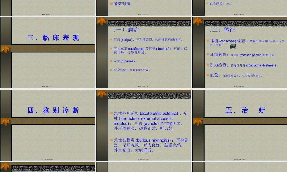 化-脓-性-中-耳-炎.pptx