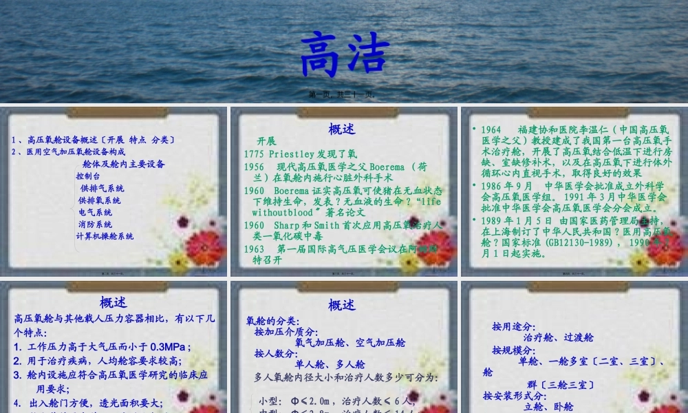 医用高压氧舱设备-高洁.pptx