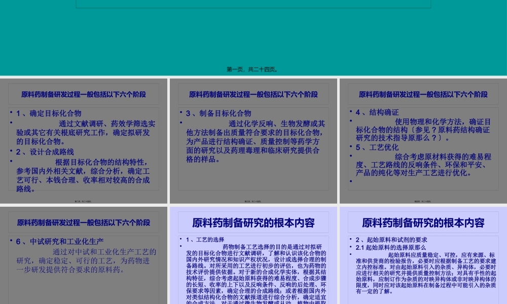 原料药研发流程.pptx