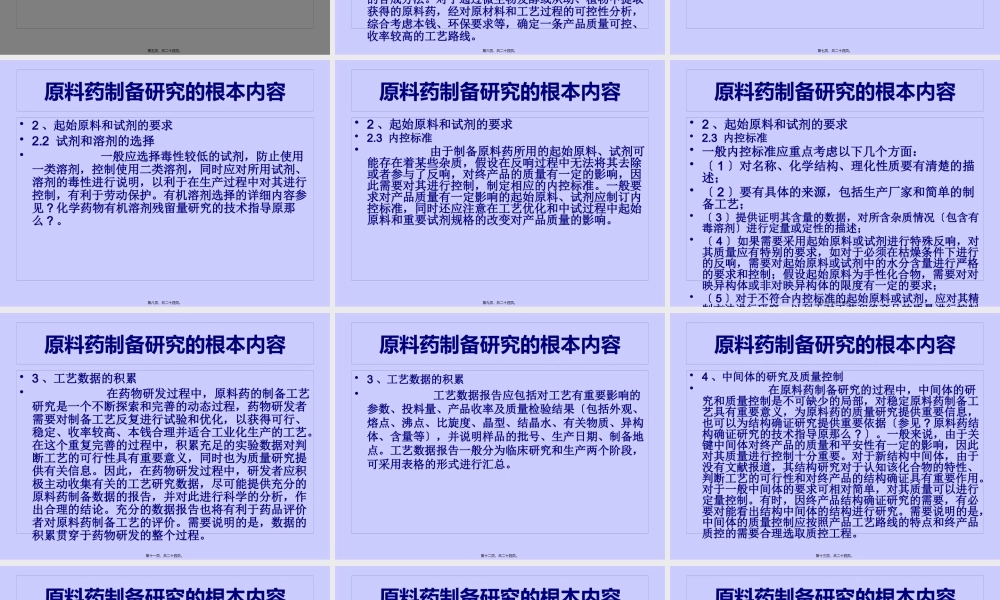 原料药研发流程.pptx