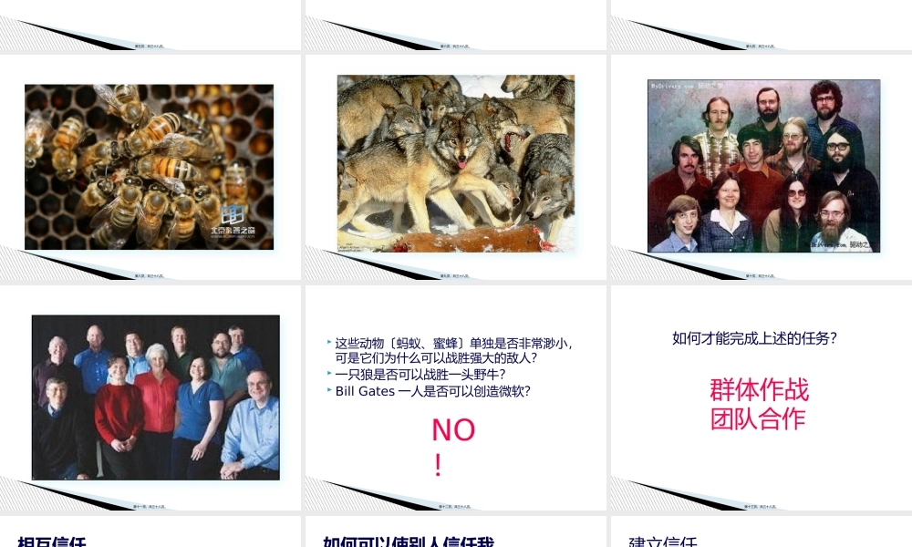 团队精神—真正的核心竞争力.pptx