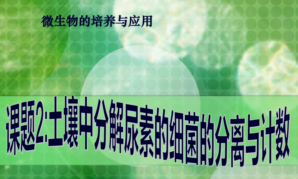 土壤中分解尿素尿素的细菌的分离与计数.pptx