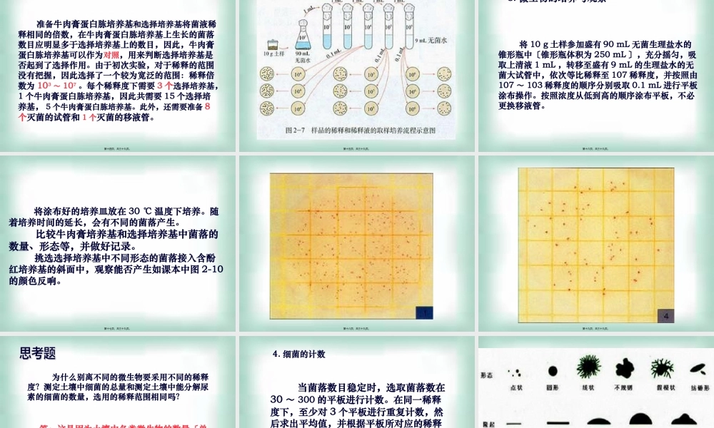 土壤中分解尿素尿素的细菌的分离与计数.pptx