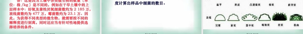 土壤中分解尿素尿素的细菌的分离与计数.pptx