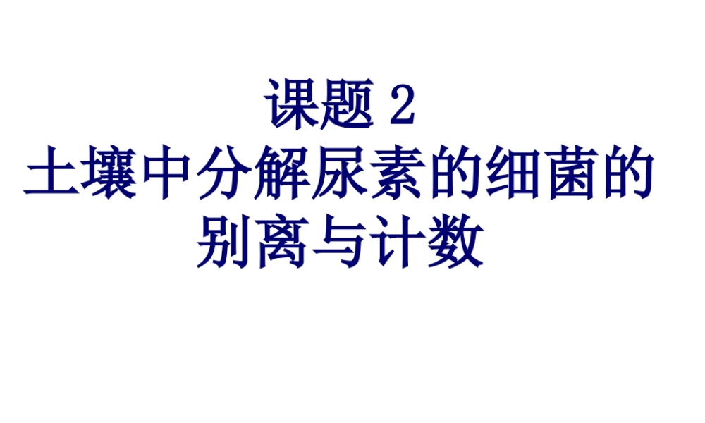 土壤中分解尿素的细菌的分离与计数定稿ppt.pptx