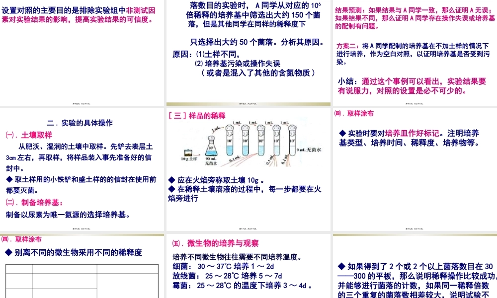 土壤中分解尿素的细菌的分离与计数定稿ppt.pptx