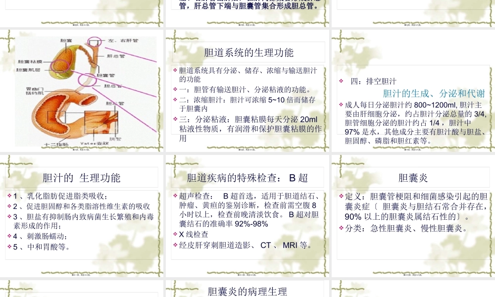 外2科——胆道疾患.pptx