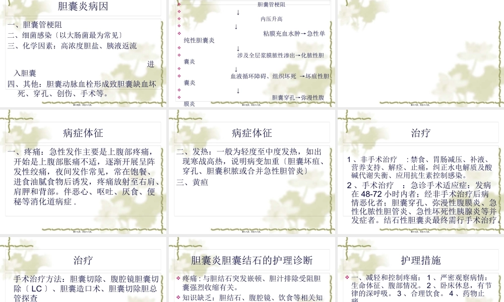 外2科——胆道疾患.pptx