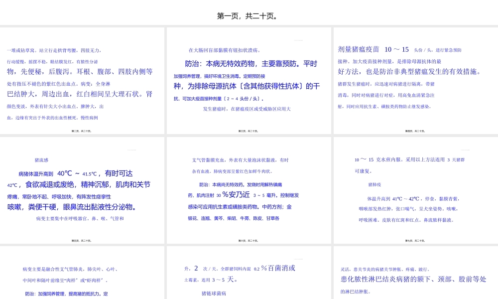 夏秋猪病多高烧辨证施治错不了.ppt