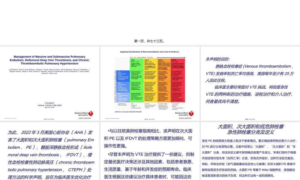 大面积和次大面积肺栓塞、髂股深静脉----.ppt