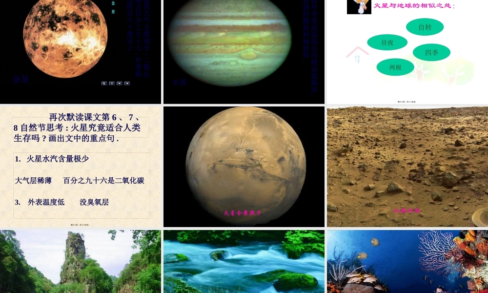 宇宙生命之谜.pptx