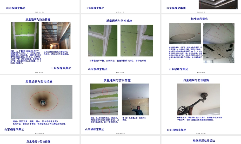 室内装饰--涂料质量通病.pptx