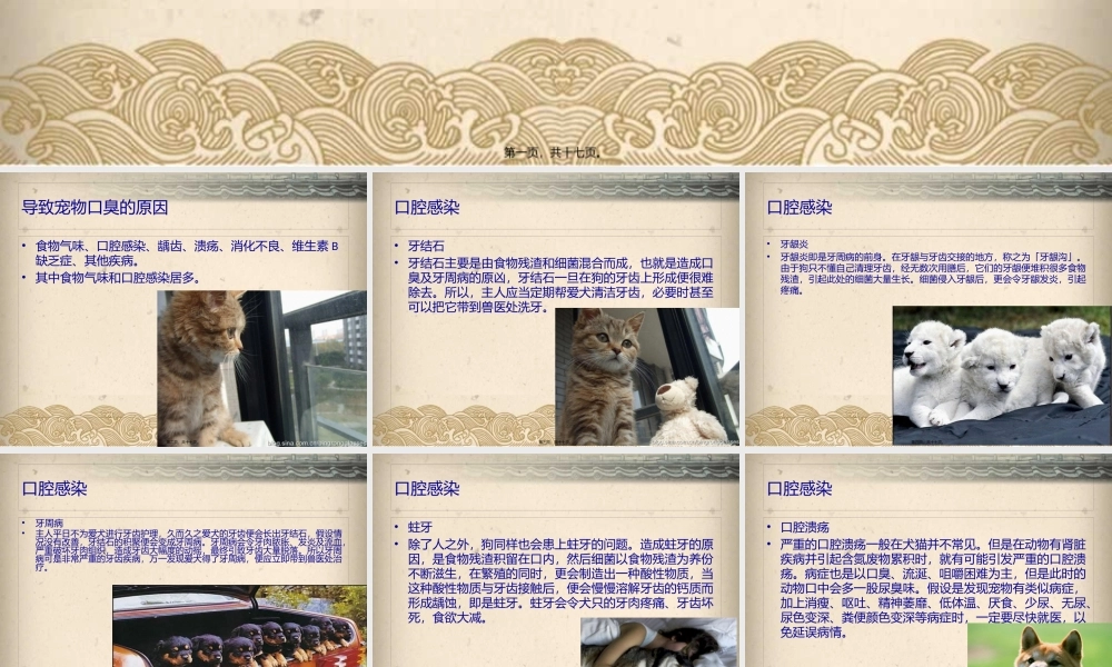 宠物产生口腔异味的原因及危害.pptx