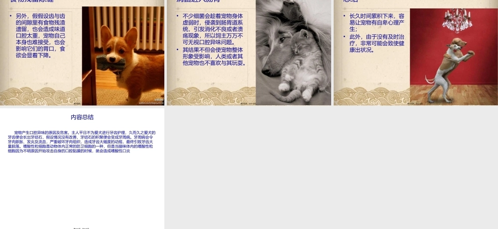 宠物产生口腔异味的原因及危害.pptx