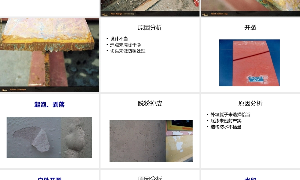 油漆病态分析.pptx