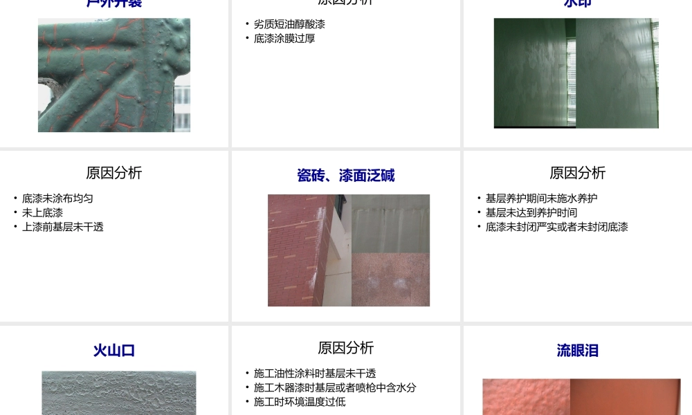 油漆病态分析.pptx