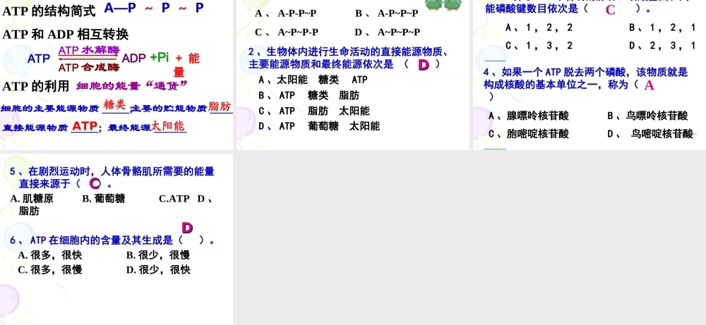 细胞的能量“通货”——ATP.ppt