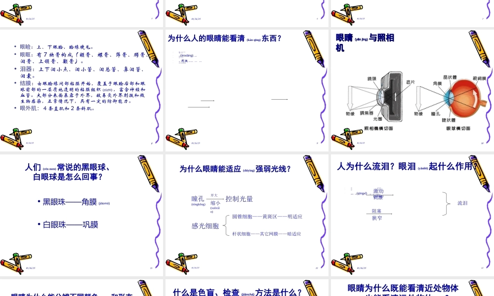 2022年医学专题—眼科基础知识.ppt