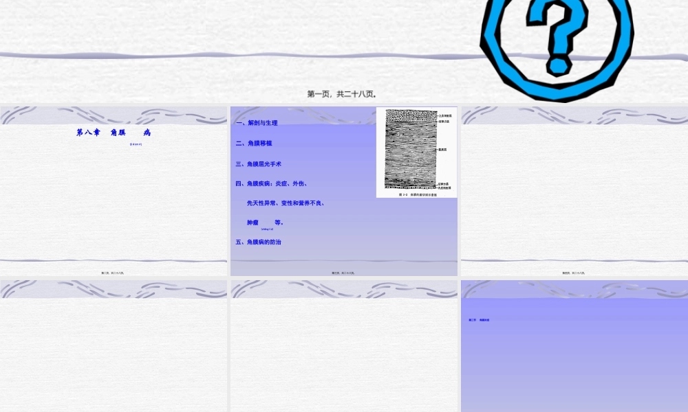 2022年医学专题—第八节-角膜病应用.ppt