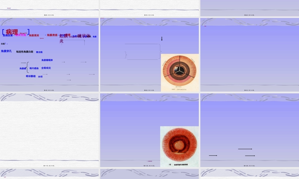 2022年医学专题—第八节-角膜病应用.ppt